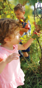 two children picking cherry tomatoes while standing in tall grass